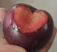 You're Falling Asleep